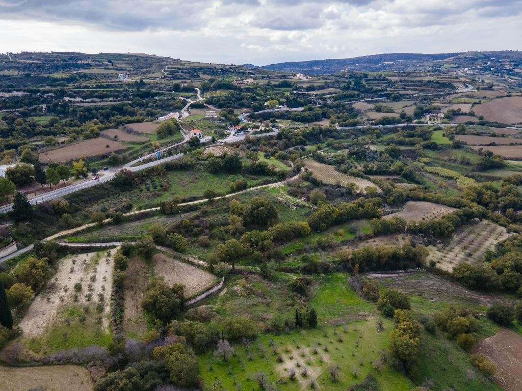 Field - Stroumpi, Paphos