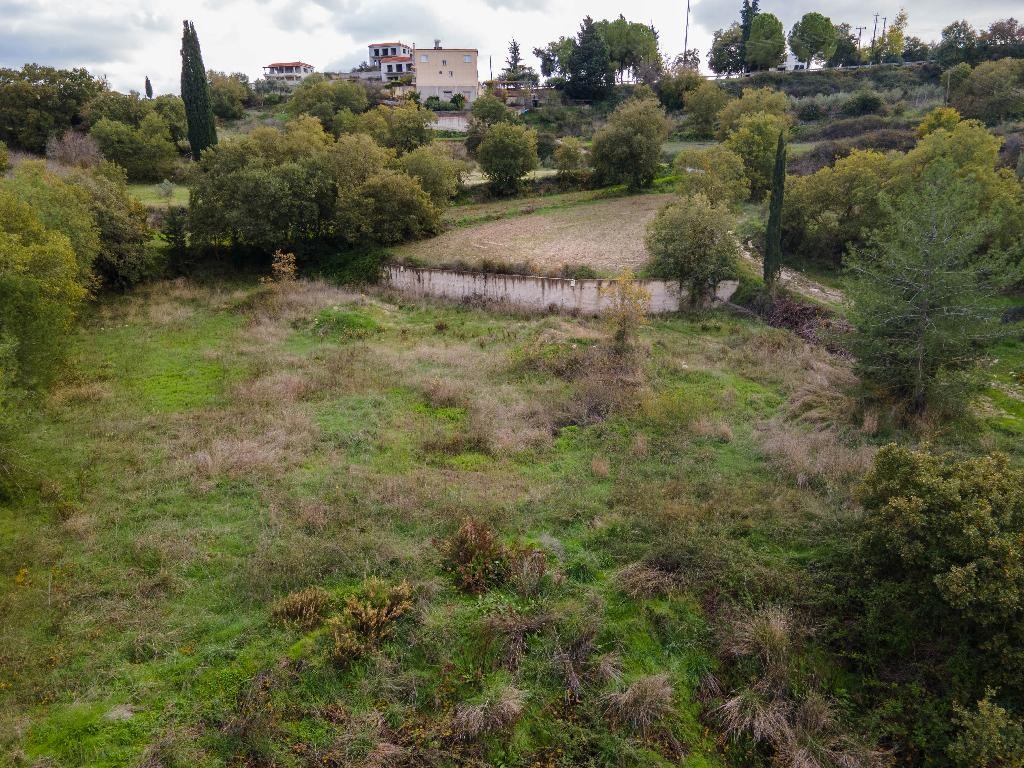 Field - Stroumpi, Paphos
