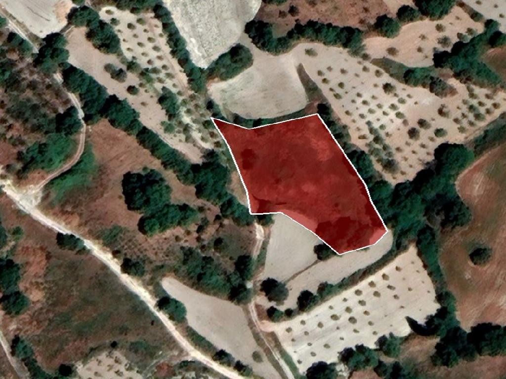 Field - Stroumpi, Paphos