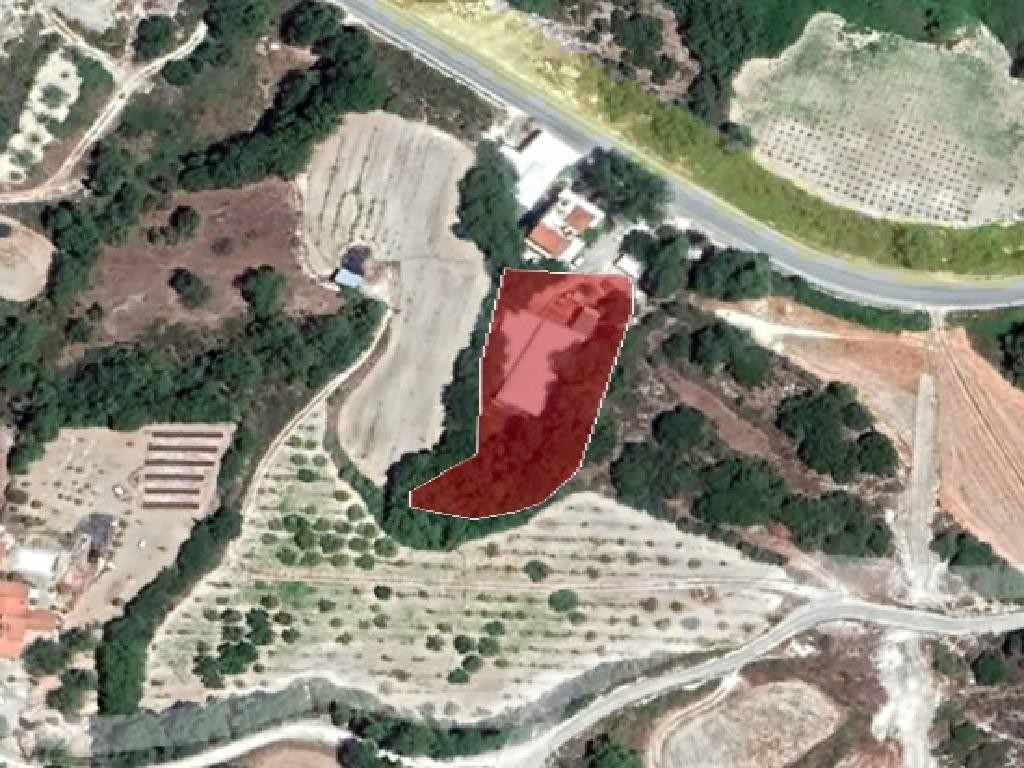 Field - Stroumpi, Paphos