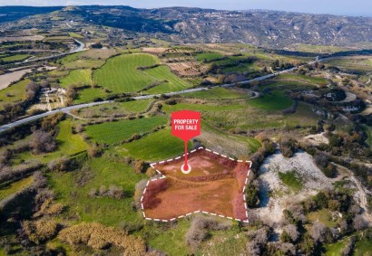 Stroumbi, Paphos Agricultural Land For Sale | DT1949