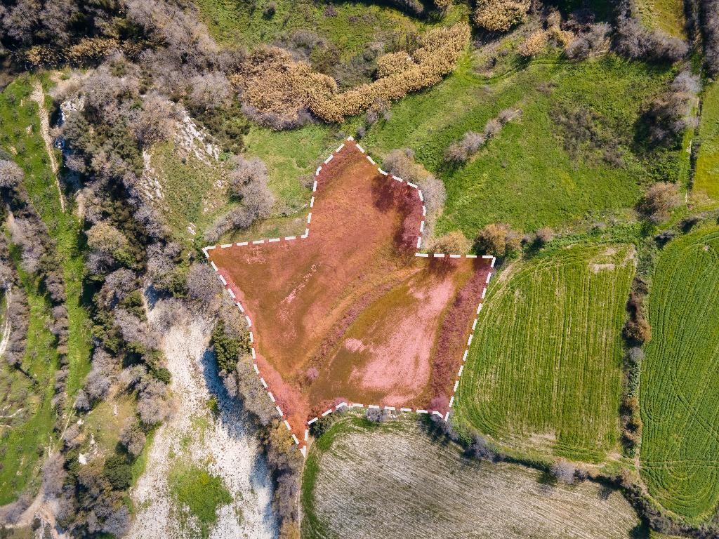 Field - Stroumpi, Paphos
