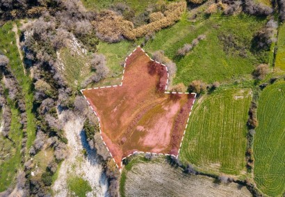 Stroumbi, Paphos Agricultural Land For Sale | DT1949