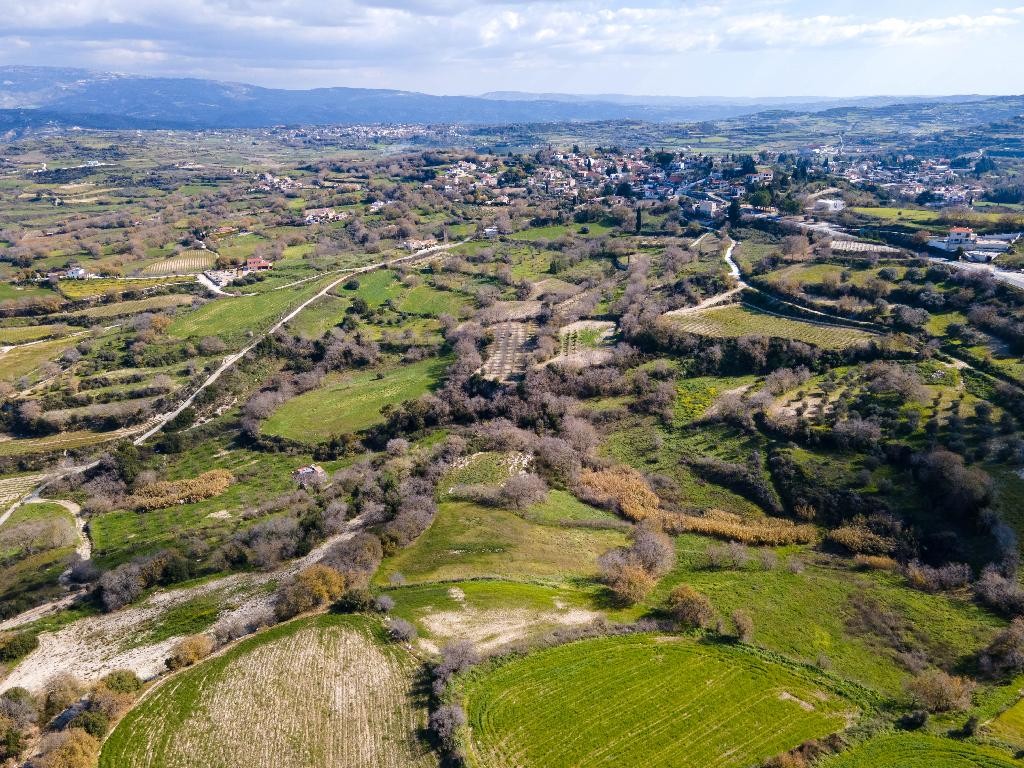 Field - Stroumpi, Paphos