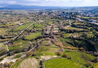 Stroumbi, Paphos Agricultural Land For Sale | DT1949
