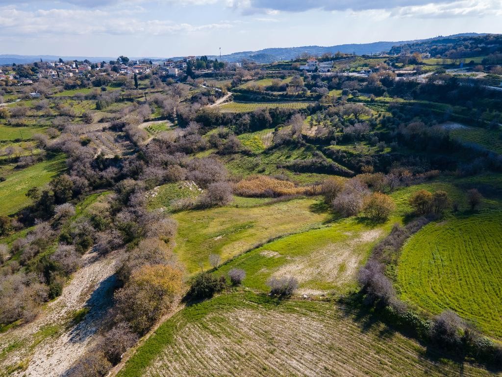 Field - Stroumpi, Paphos
