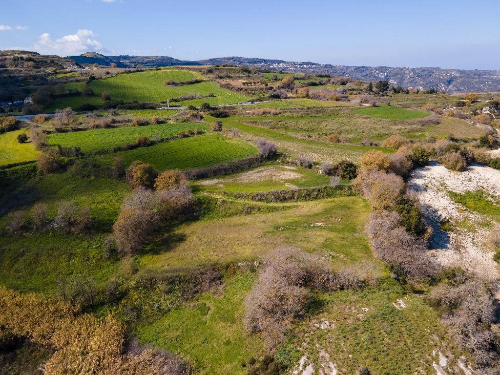 Field - Stroumpi, Paphos