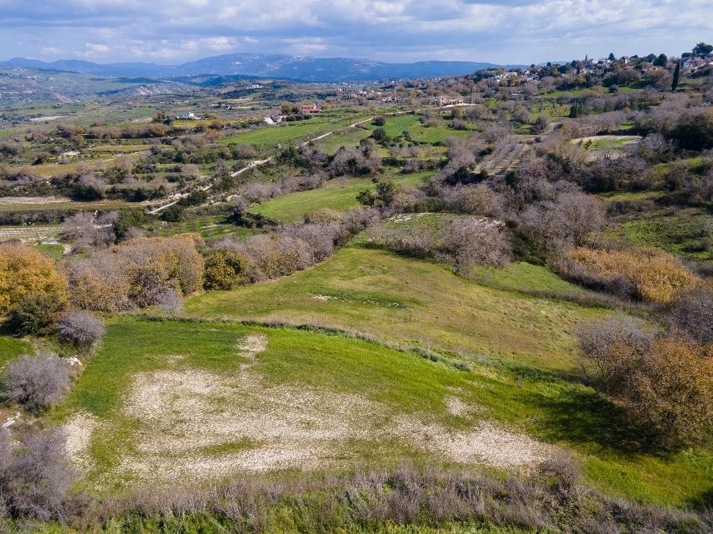 Field - Stroumpi, Paphos