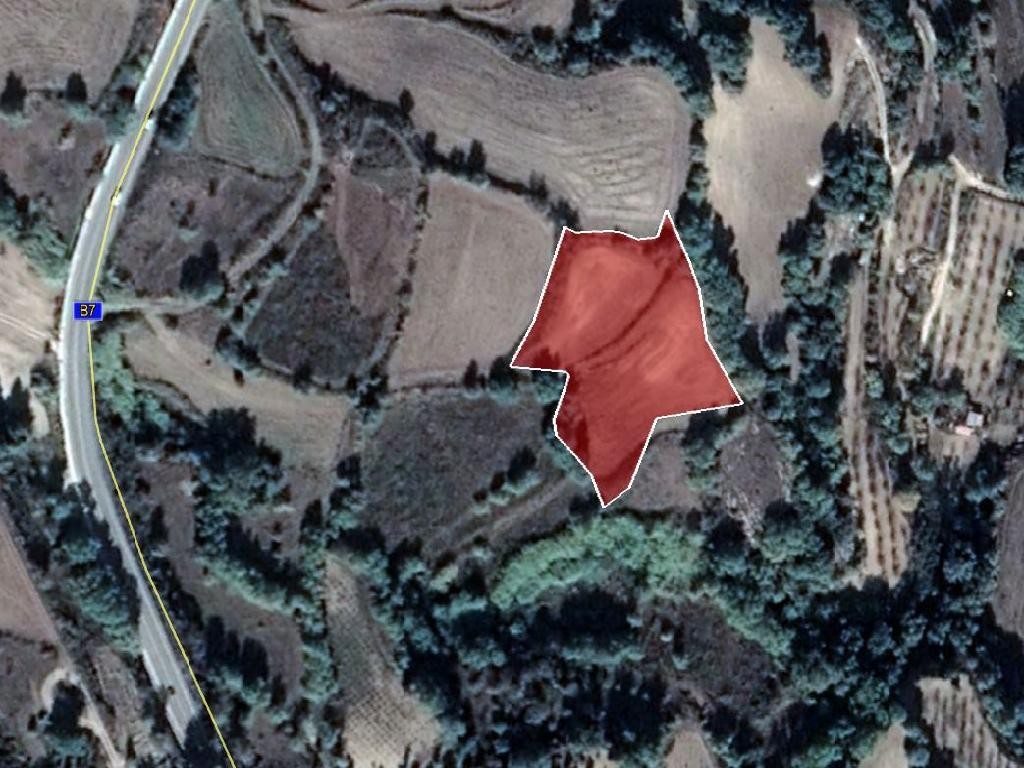Field - Stroumpi, Paphos