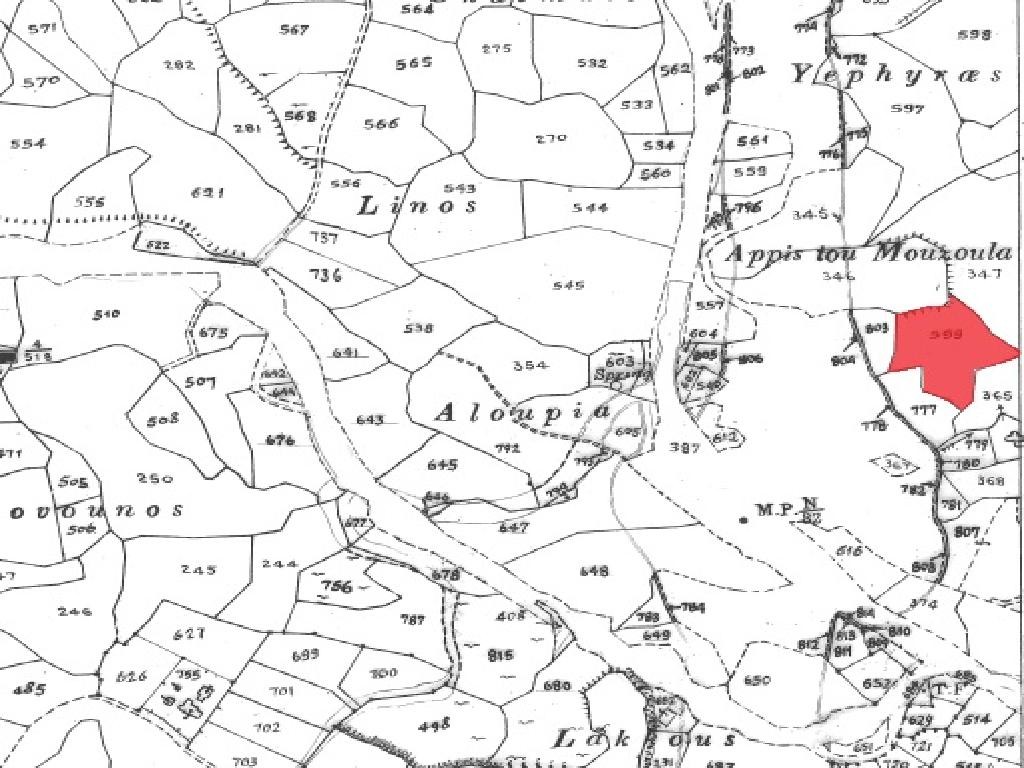 Field - Stroumpi, Paphos