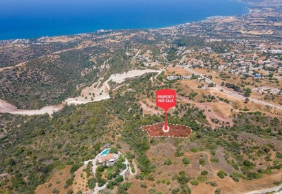 Neo Chorio, Paphos Agricultural Land For Sale | DT1960