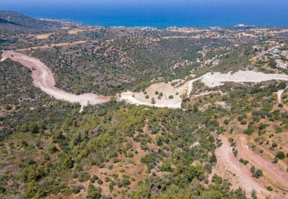 Neo Chorio, Paphos Agricultural Land For Sale | DT1960