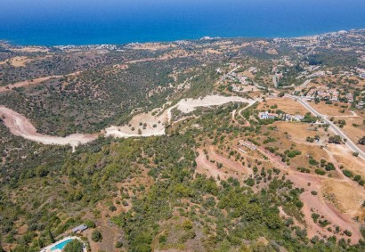 Neo Chorio, Paphos Agricultural Land For Sale | DT1960