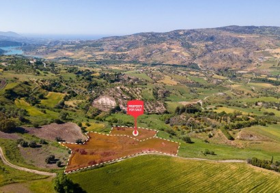 Simou, Paphos Agricultural Land For Sale | DT1972