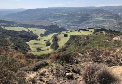 Skoulli, Paphos Agricultural Land For Sale | DT1976