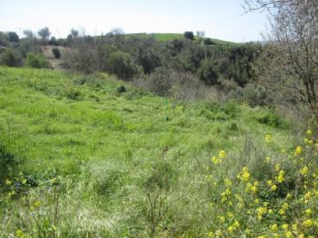 Drymou, Paphos Residential Land For Sale | DT1986
