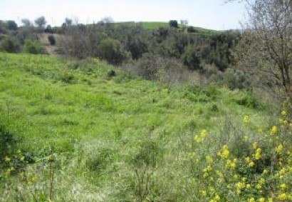 Drymou, Paphos Residential Land For Sale | DT1986