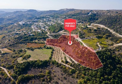 Theletra, Paphos Residential Land For Sale | DT1997