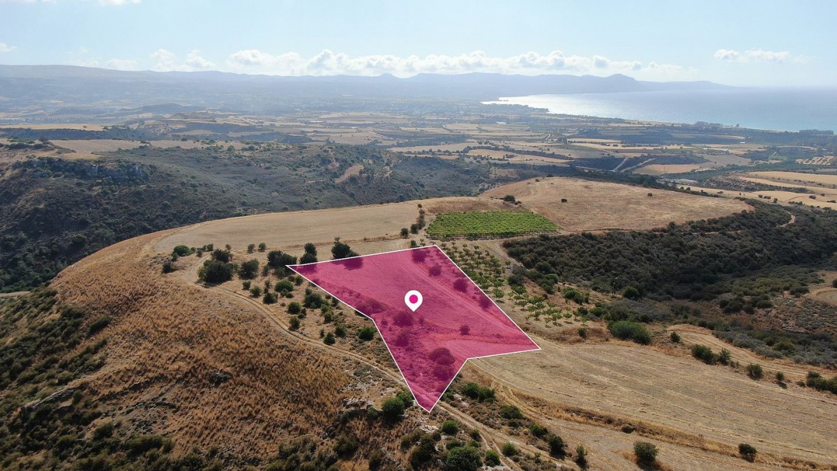 Pelathousa, Paphos Agricultural Land For Sale | DT2000