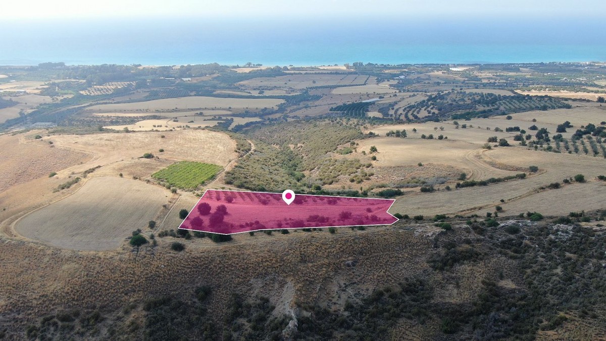 Agricultural field, Pelathousa, Paphos