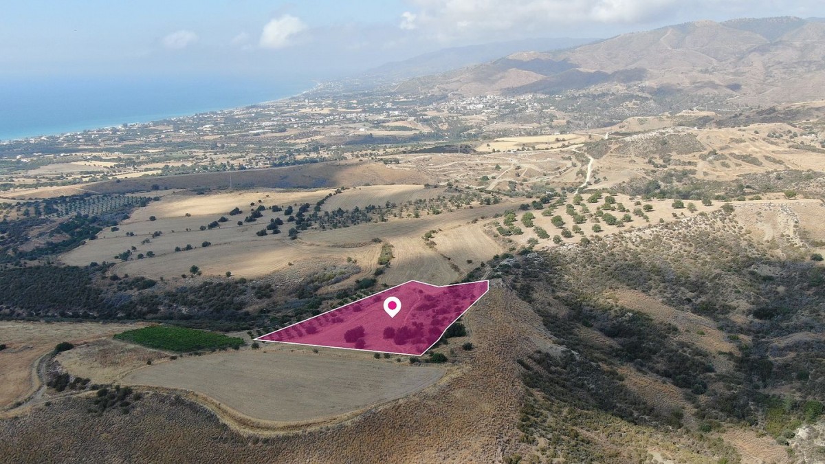 Agricultural field, Pelathousa, Paphos