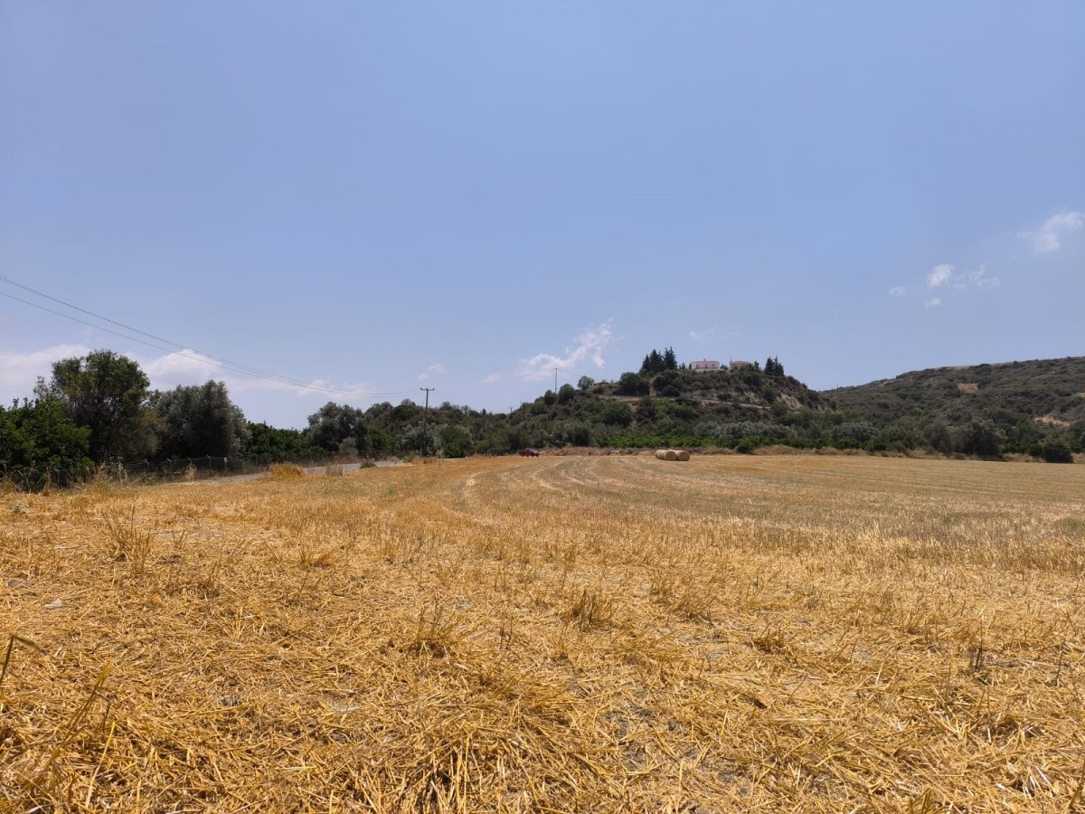 Goudi, Paphos Agricultural Land For Sale | DT2147