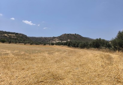 Goudi, Paphos Agricultural Land For Sale | DT2147