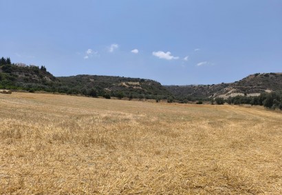 Goudi, Paphos Agricultural Land For Sale | DT2147