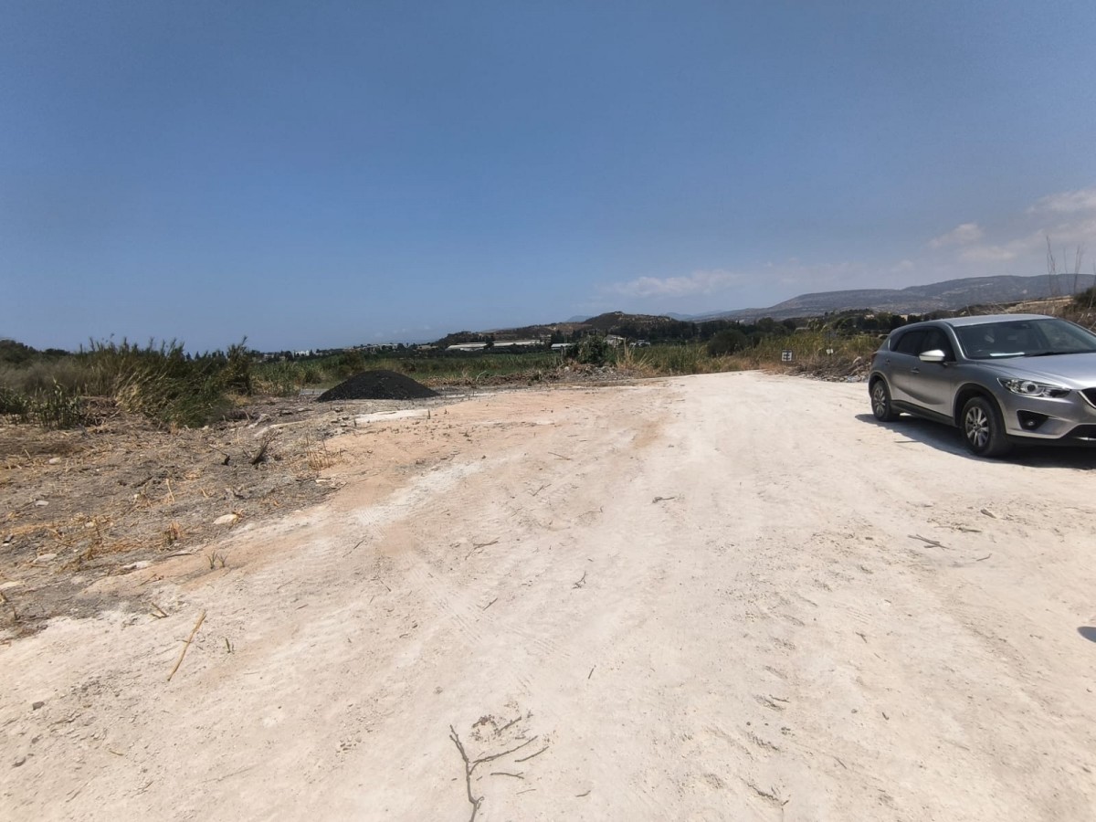 Agricultural Land For Sale  in  Prodromi