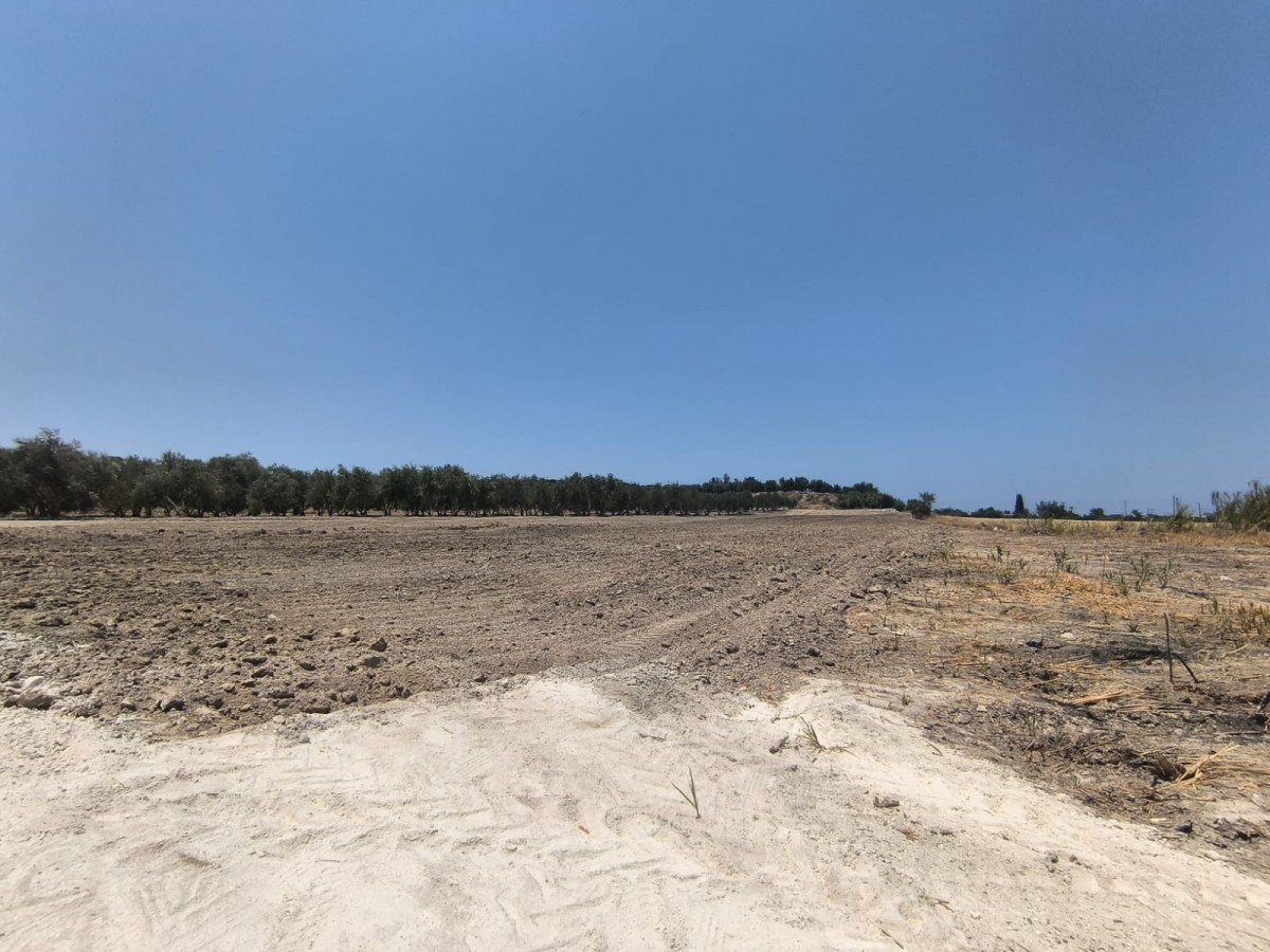Agricultural Land For Sale  in  Prodromi