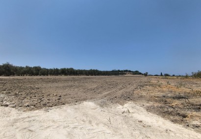 Prodromi, Paphos Agricultural Land For Sale | DT2148