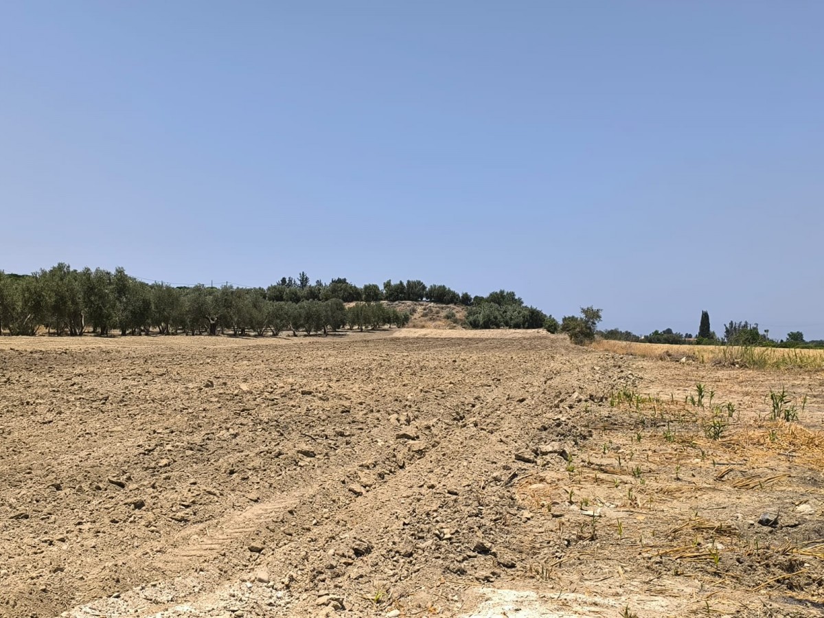 Prodromi, Paphos Agricultural Land For Sale | DT2149