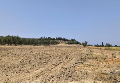 Prodromi, Paphos Agricultural Land For Sale | DT2149