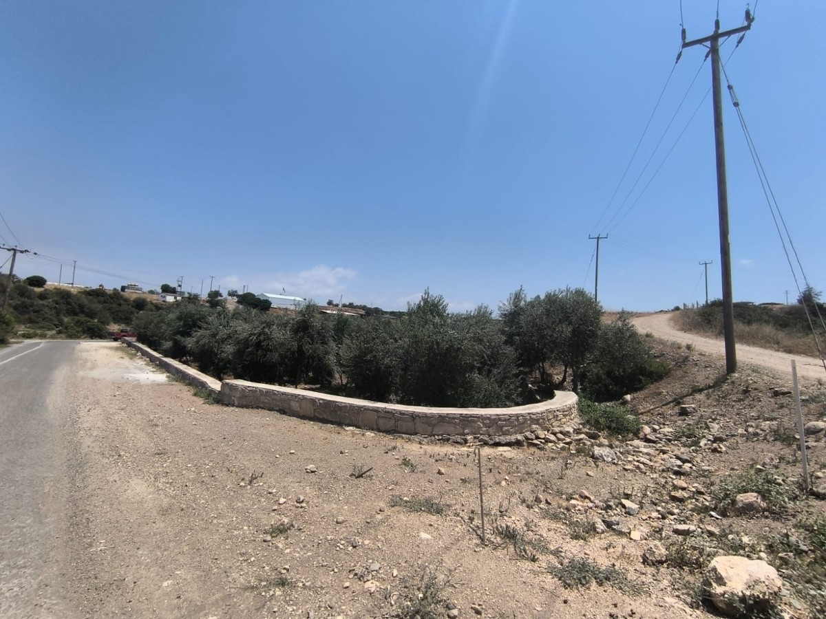 Prodromi, Paphos Agricultural Land For Sale | DT2150