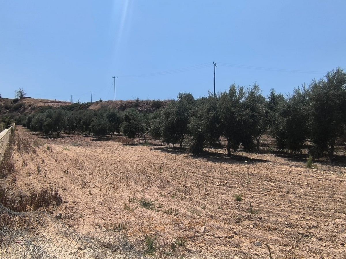 Agricultural Land For Sale  in  Prodromi