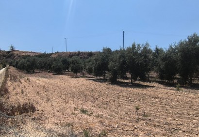 Prodromi, Paphos Agricultural Land For Sale | DT2150