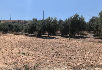 Prodromi, Paphos Agricultural Land For Sale | DT2150