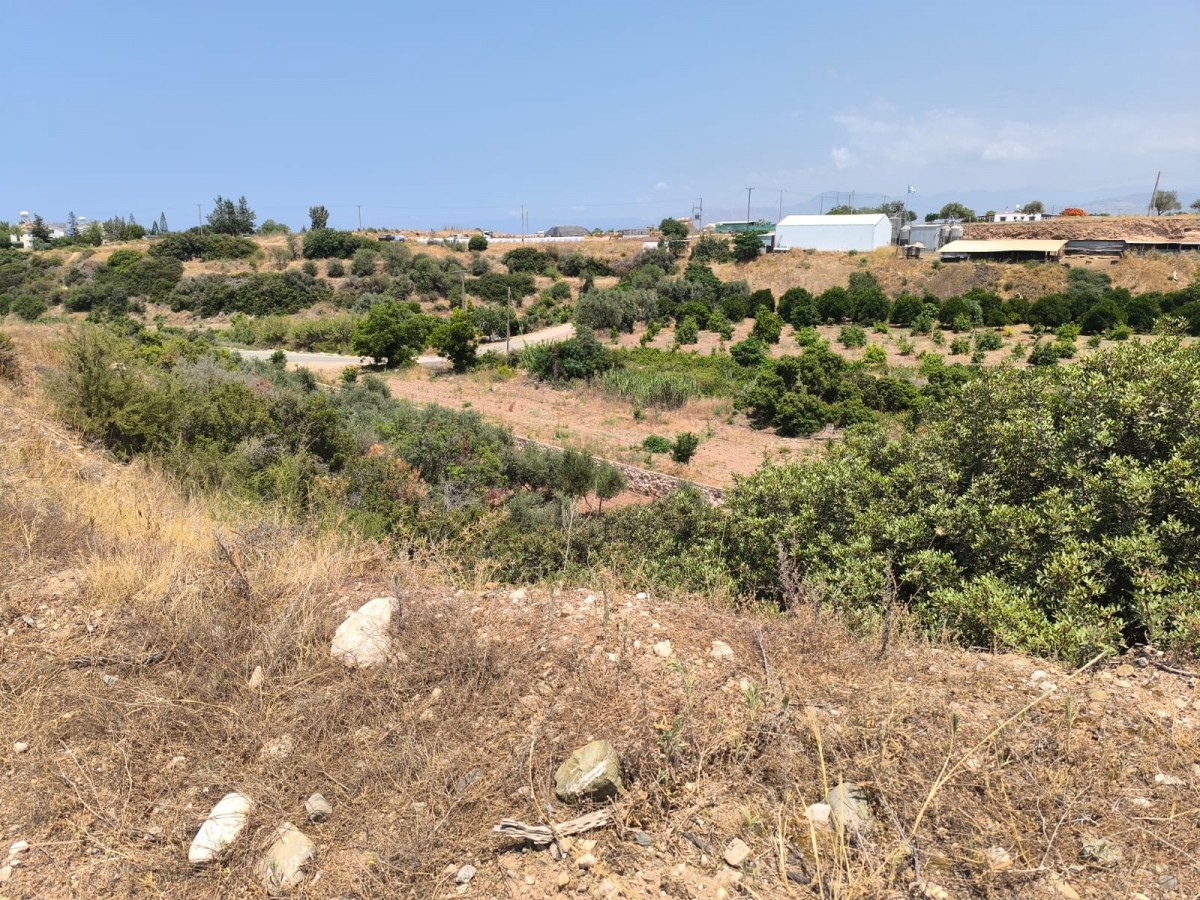 Agricultural Land For Sale  in  Prodromi