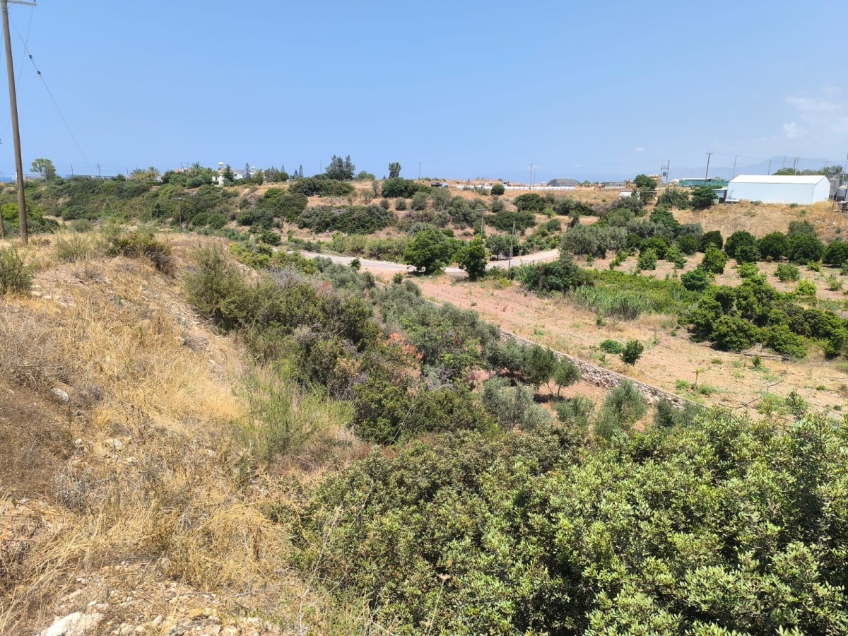 Agricultural Land For Sale  in  Prodromi