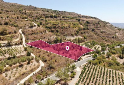 Praitori, Paphos Residential Land For Sale | DT2204