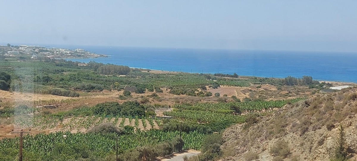Detached Villa For Sale  in  Peyia