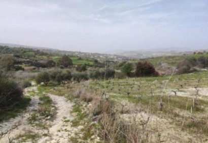 Stroumbi, Paphos Agricultural Land For Sale | DT2509