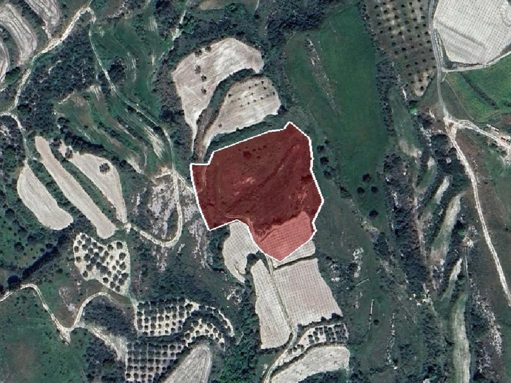Field - Stroumpi, Paphos