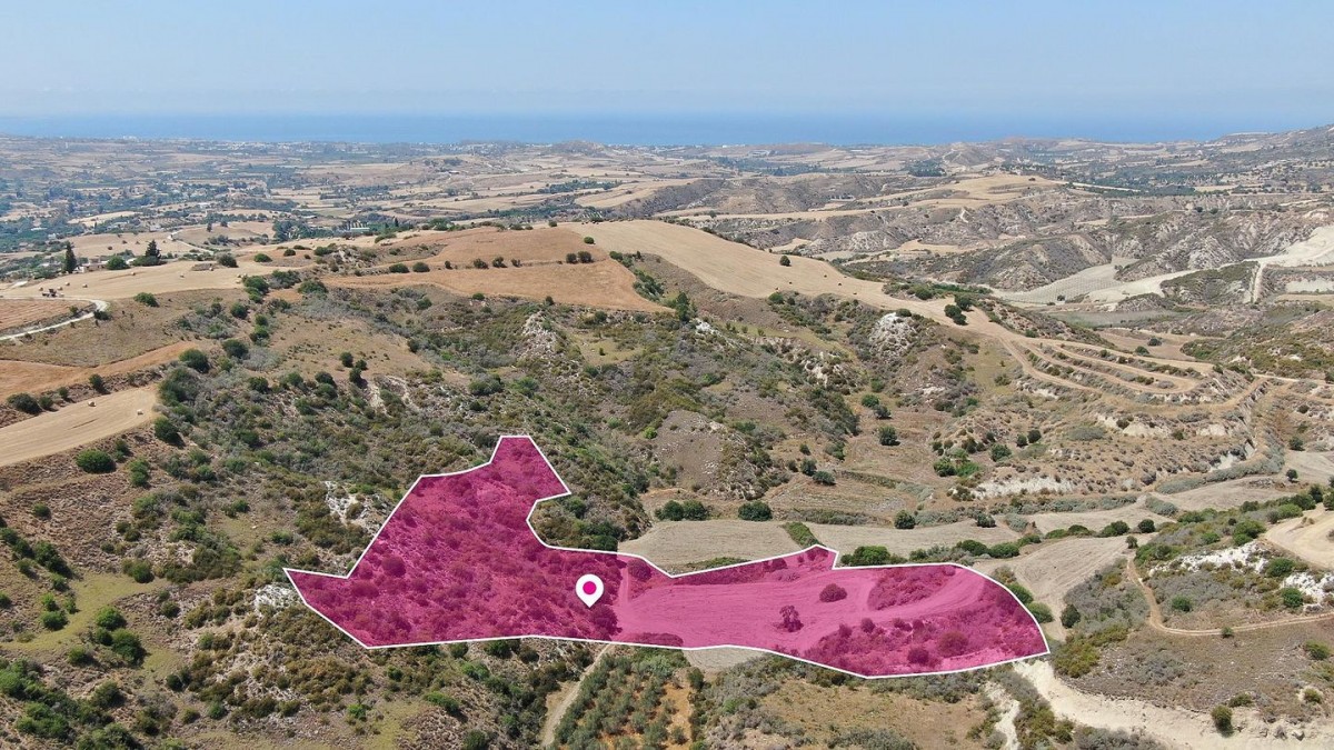 Choli, Paphos Agricultural Land For Sale | DT2581