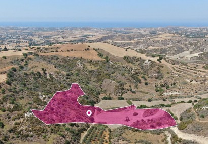 Choli, Paphos Agricultural Land For Sale | DT2581