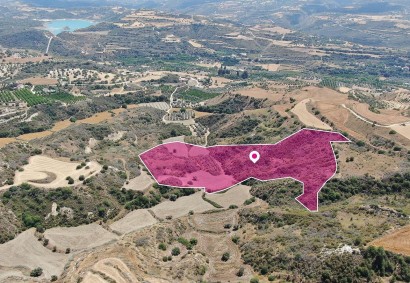 Choli, Paphos Agricultural Land For Sale | DT2581