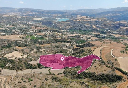 Choli, Paphos Agricultural Land For Sale | DT2581
