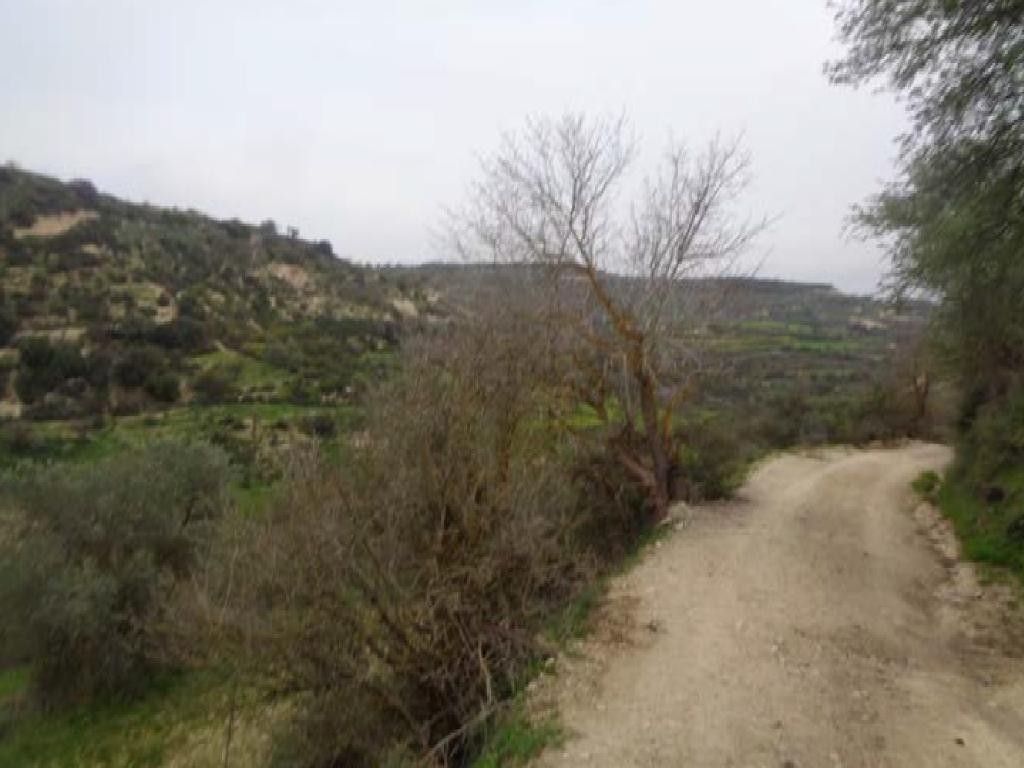 Kallepeia, Paphos Agricultural Land For Sale | DT2636