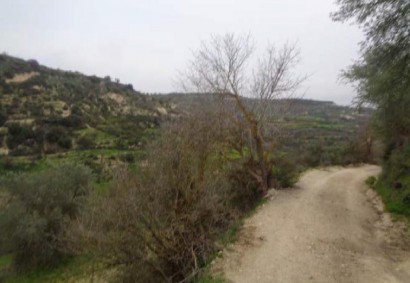 Kallepeia, Paphos Agricultural Land For Sale | DT2636