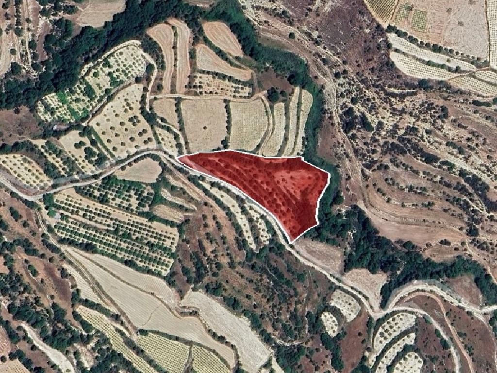 Agricultural Land For Sale  in  Kallepeia